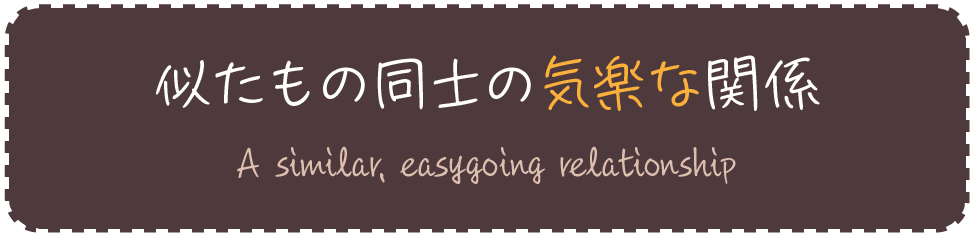 キャッチコピー