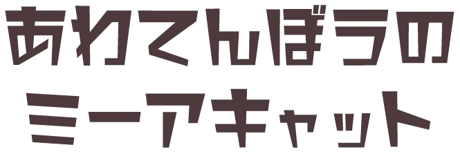 あわてんぼうミーアキャット